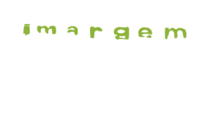 Logo_imargem